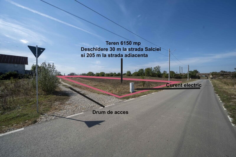 Domnesti Teren 6000mp Salciei- Haltei- Ciocarliei Drum asfaltat cu utilitati