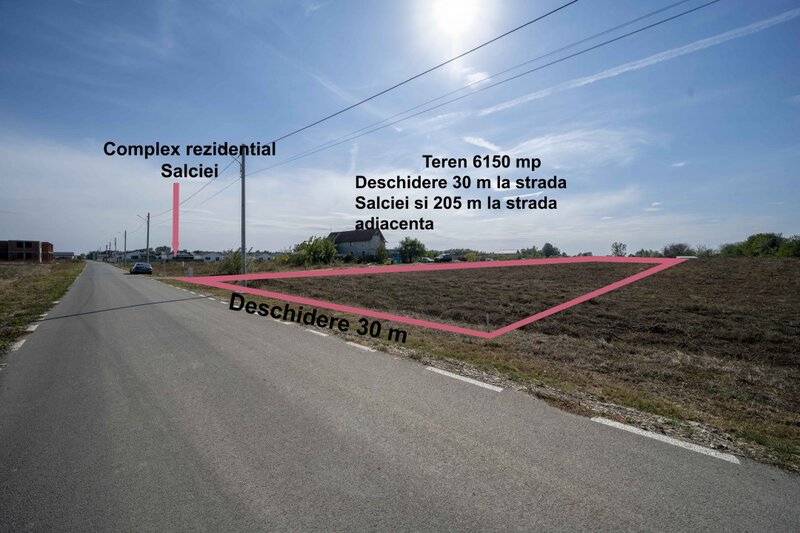 Domnesti Teren 6000mp Salciei- Haltei- Ciocarliei Drum asfaltat cu utilitati