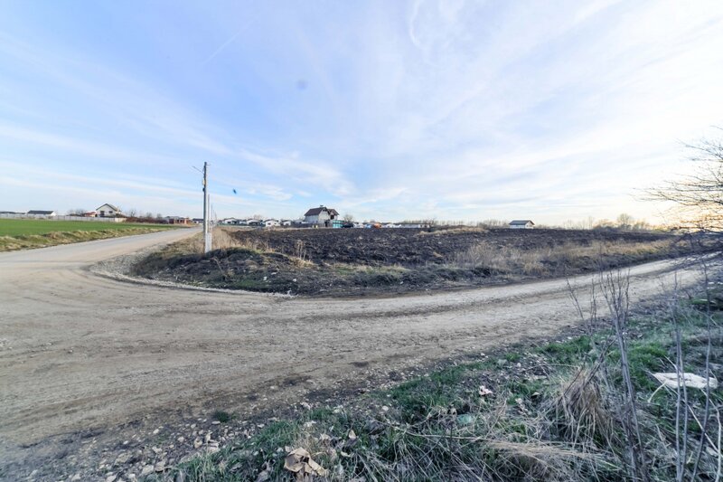 Domnesti Teren 6000mp Salciei- Haltei- Ciocarliei Drum asfaltat cu utilitati