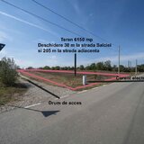 Domnesti Teren 6000mp Salciei- Haltei- Ciocarliei Drum asfaltat cu utilitati